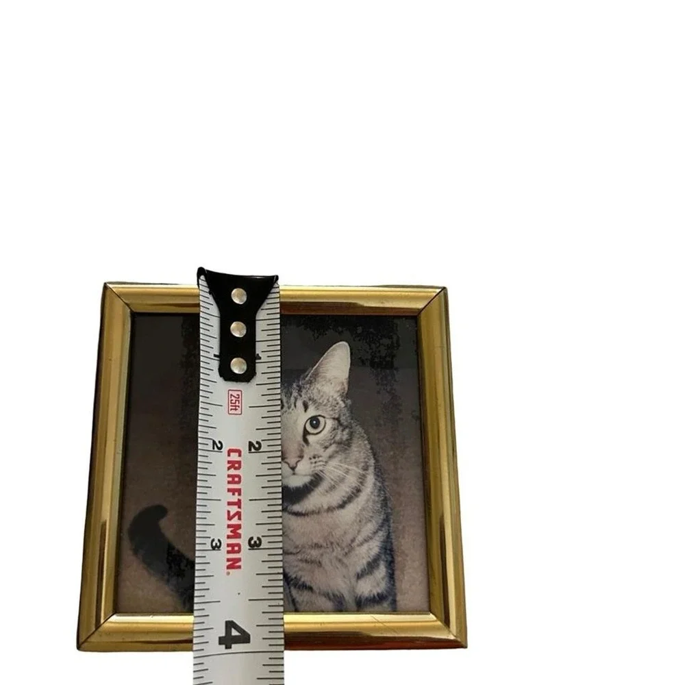 Vintage 1970's Framed Cat Picture